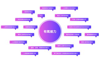 破譯運(yùn)動健康管理品牌GetWell的基因密碼 品牌管理的核心之道
